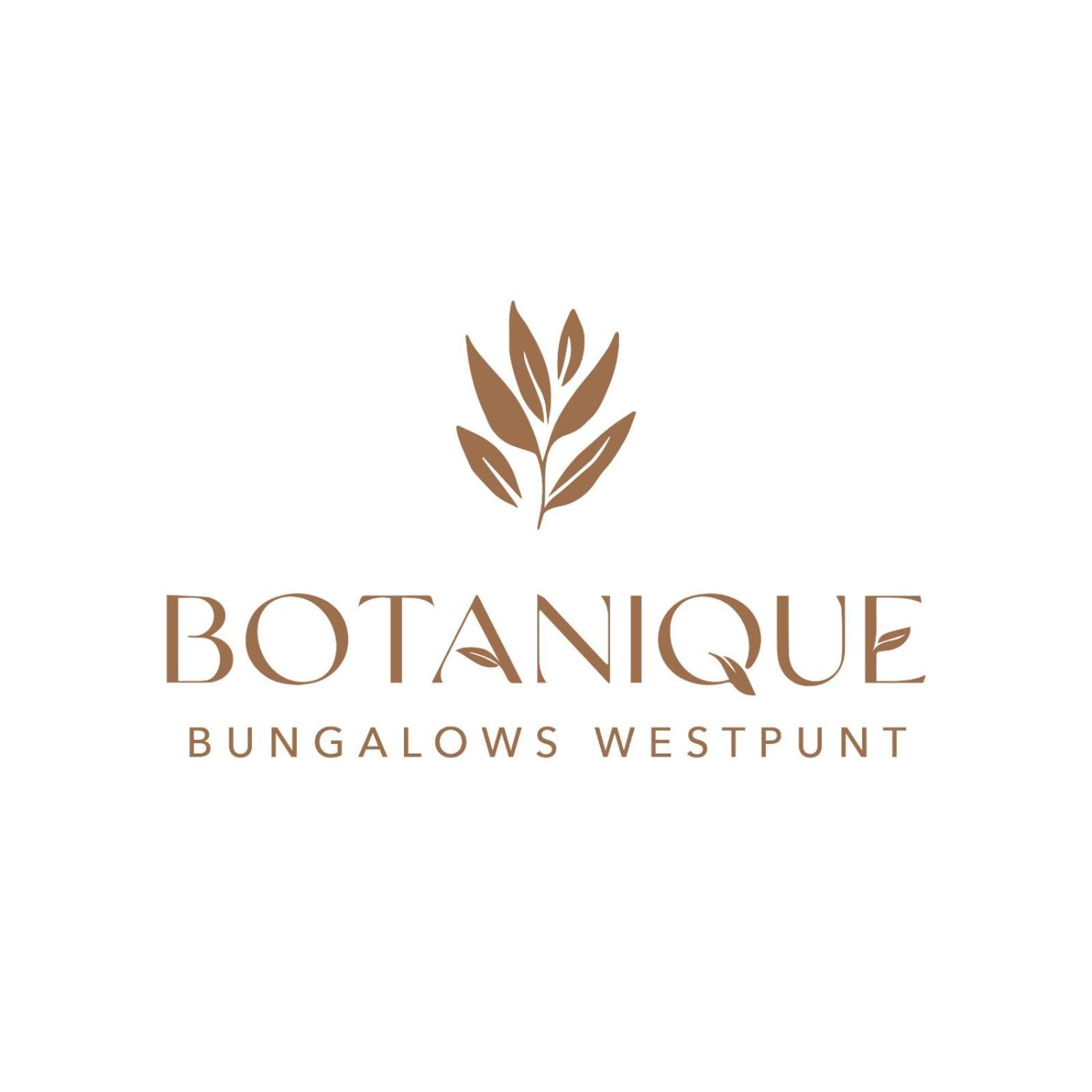 Botanique Bungalows Westpunt Bagian luar foto